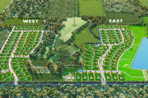 Screenshot 2026-02-02 164731