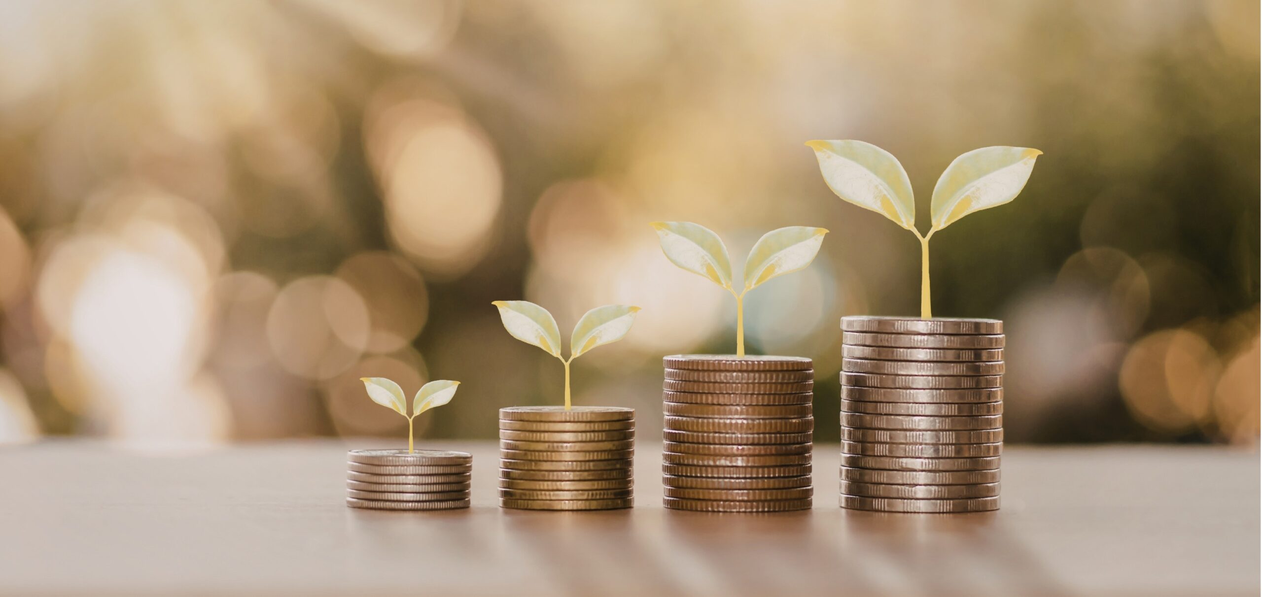 P: 314-614-0101 - 32